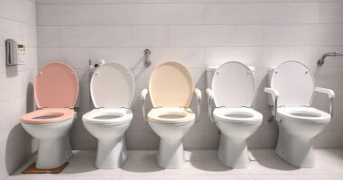 elderly comfort safety toilets
