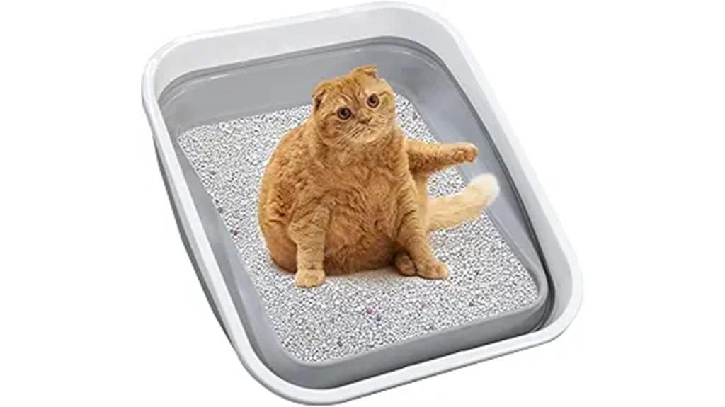 large cat litter box