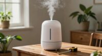 choosing humidifier size wisely