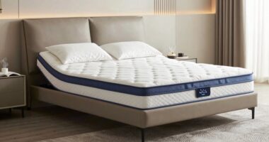 essential features of adjustable beds