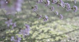 calming spring color palette