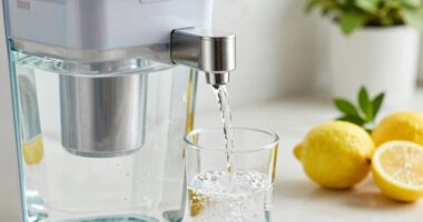 taste versus filtration quality