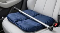 vehicle entry mobility aids