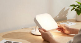 10 Best Premium Daylight Therapy Lamps in 2026