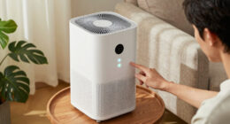 10 Best Smart Air Purifiers for Bedrooms and Living Rooms in 2026