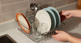 11 Best Premium Dish Racks for Small Kitchens in 2026
