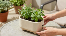 14 Best Self-Watering Planters for Patios in 2026