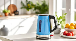 Beat the Summer Rush: Ninja KT200BL Precision Temperature Electric Kettle