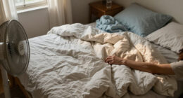 I’m A Hot Sleeper, And This Comforter Has Kept Me Cool And Cozy For Nine Years