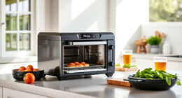 Summer Care & Troubleshooting for the Ninja Foodi XL Pro Air Oven