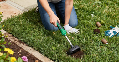 Forget Spiked Aerator Shoes: The Handheld, Easy-To-Use Tool To Try Instead