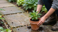 Monty Don's Simple Potted Plant Trick Makes Any Garden Path Feel Instantly More Magical