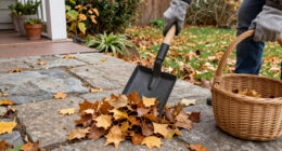 Skip Traditional Rakes: The Tool That Makes Cleaning Up Leaves Faster & Easier